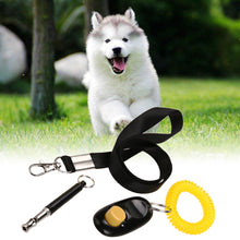 Dog Training Products