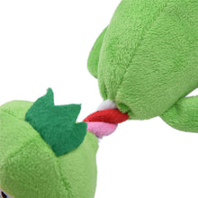 Pet Chewing Toys
