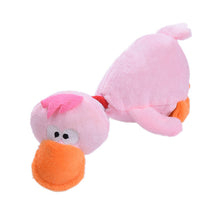 Pet Chewing Toys