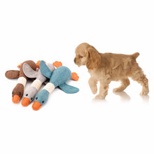 Pet Sound Toys