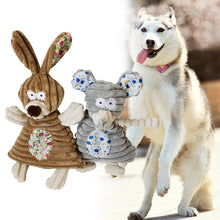 Dog Squeaking Toy