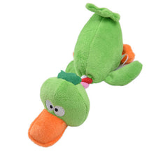 Pet Chewing Toys