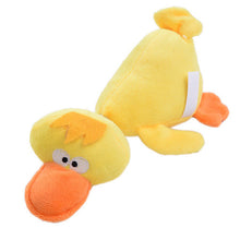Pet Chewing Toys