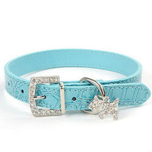 Crystal Pet Neck Strap