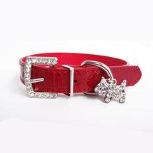 Crystal Pet Neck Strap