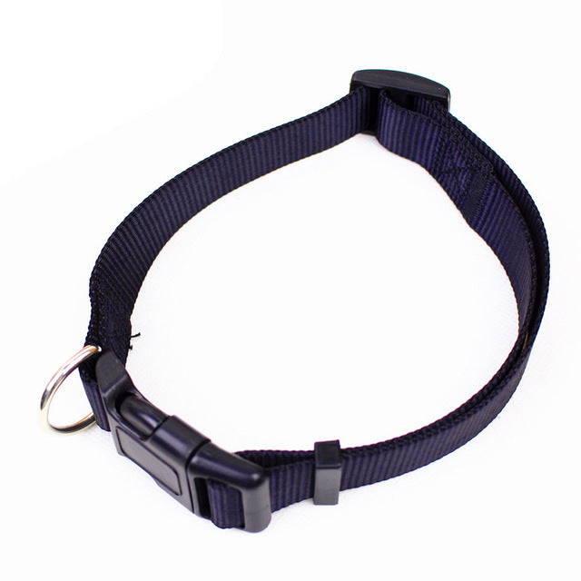 Nylon dog collars