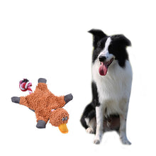 Pet Soft Toy