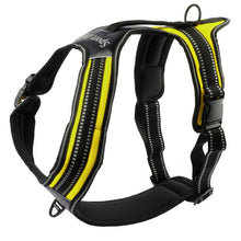 No-Pull Pet Vest