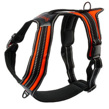 No-Pull Pet Vest