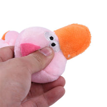 Pet Chewing Toys