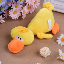 Pet Chewing Toys