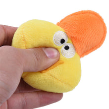 Pet Chewing Toys