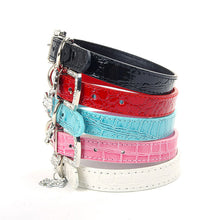 Crystal Pet Neck Strap