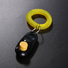 Dog Training Products