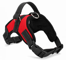 Comfortable Pet Collars