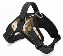 Comfortable Pet Collars