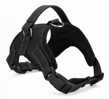 Comfortable Pet Collars