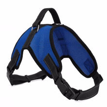 Comfortable Pet Collars