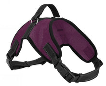Comfortable Pet Collars