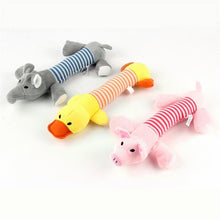 Dog Chew Toys