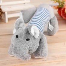 Dog Chew Toys