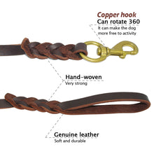 Braided Leather Leash