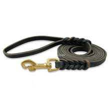 Braided Leather Leash