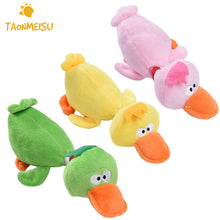 Pet Chewing Toys
