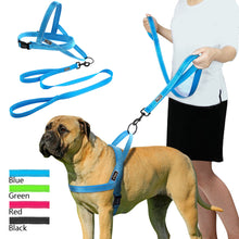 Dog Harness Leash Set
