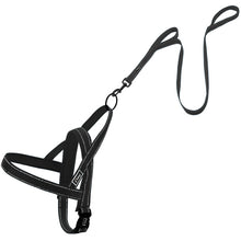 Dog Harness Leash Set