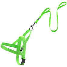 Dog Harness Leash Set