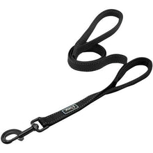 Dog Harness Leash Set
