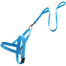 Dog Harness Leash Set
