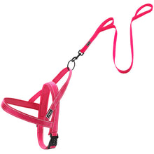 Dog Harness Leash Set