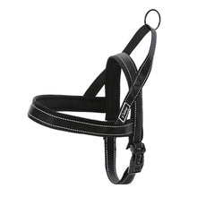 Dog Harness Leash Set