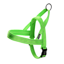 Dog Harness Leash Set