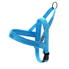 Dog Harness Leash Set