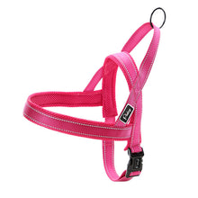 Dog Harness Leash Set